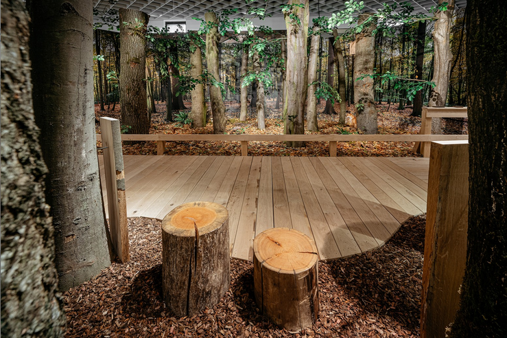 Einladung:  Alleskönner Wald – Besuch der Ausstellung im Naturkundemuseum